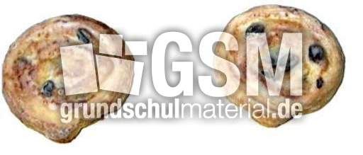 R-schnecken1+1.jpg